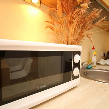 Apartament Cozy Timişoara