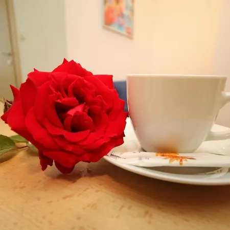 Apartman Cozy
