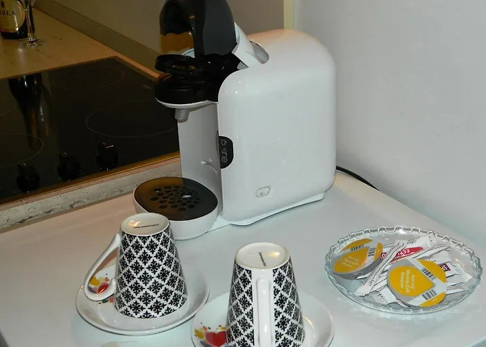 Apartment Cozy Timişoara