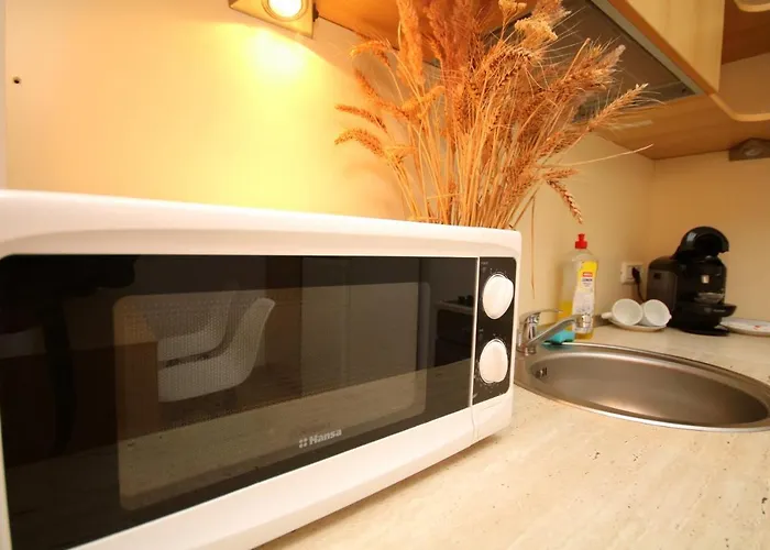 Apartment Cozy Timişoara